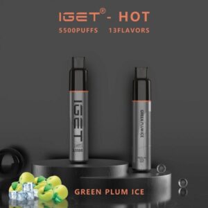 IGET HOT 5500 Puffs Green Plum Ice